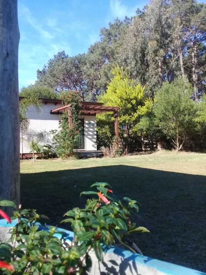 La Maison Suites & Gastronomia La Paloma Eksteriør billede